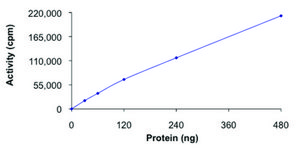 EPHA7 (580-end), active, GST tagged from mouse PRECISIO® Kinase, recombinant, expressed in baculovirus infected Sf9 cells, ≥70% (SDS-PAGE), buffered aqueous glycerol solution