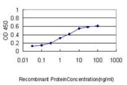 ANTI-PIM1 antibody produced in mouse clone 1C12, purified immunoglobulin, buffered aqueous solution