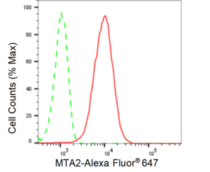 KD-Validated Anti Metastasis Associated 1 Family Member 2 Antibody, clone 24GB400, Rabbit Monoclonal clone 24GB400, recombinant rabbit monoclonal, expressed in HEK293 cells