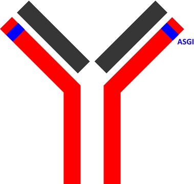 SILu&#8482;MAb Nivolumab Stable-Isotope Labeled Monoclonal Antibody recombinant, expressed in CHO cells