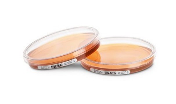 Tryptic Soy Agar - Ready-to-use Settle Plates Tween&#174;, Lecithin, Penase, Thiosulfate, Histidine, ICR with non-lockable lid, plate volume × diam. 30&#160;mL × 90&#160;mm, sterile; &#947;-irradiated, pkg of 10&#160;plates Triple packed, suitable for air monitoring