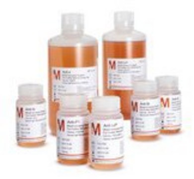 Intermediates For Further Manufacturing Use (FFMU) - Rare Specificities Anti-Lea from the clone P3N20V3, Human IgM, Intermediate for further manufacturing use