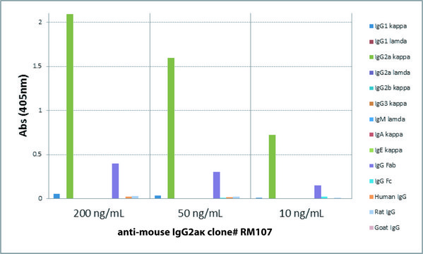 Anti-Mouse IgG2a kappa-Biotin antibody, Rabbit monoclonal recombinant, expressed in HEK 293 cells, clone RM107, purified immunoglobulin