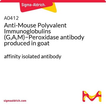 抗-小鼠多价免疫球蛋白(G,A,M)&#8722;过氧化物酶 山羊抗 affinity isolated antibody