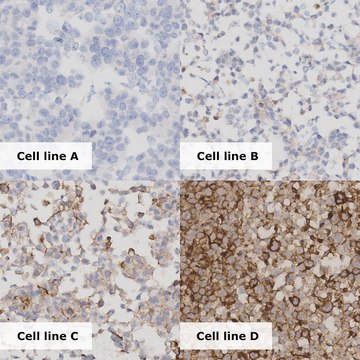 PD-L1 Analyte ControlDR Cell line controls for immunohistochemistry and in situ hybridization