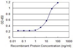 Monoclonal Anti-ZIC4 antibody produced in mouse clone 2B9, purified immunoglobulin, buffered aqueous solution