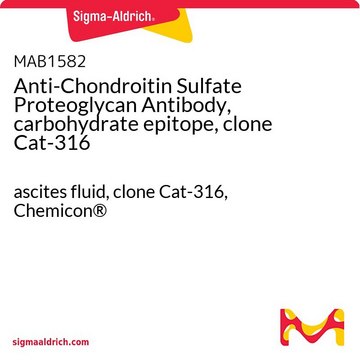 Anti-Chondroitin Sulfate Proteoglycan Antibody, carbohydrate epitope, clone Cat-316 ascites fluid, clone Cat-316, Chemicon&#174;