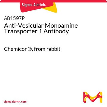 Anti-Vesicular Monoamine Transporter 1 Antibody Chemicon&#174;, from rabbit