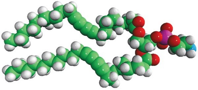 23:2 Diyne PE [DC(8,9)PE] 1,2-bis(10,12-tricosadiynoyl)-sn-glycero-3-phosphoethanolamine, powder