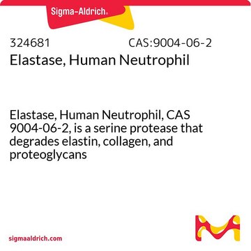 弹性蛋白酶，来源于人类中性粒细胞 Elastase, Human Neutrophil, CAS 9004-06-2, is a serine protease that degrades elastin, collagen, and proteoglycans