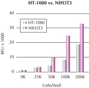 QCM趋化细胞迁移分析，24孔（8 &#181;m），荧光法 The QCM 24-well Migration Assay is ideal for the study of chemotaxis cell migration. The assay uses a 24-well plate with an 8 micron pore size, with fluorescent detection.