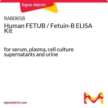 人FETUB / Fetuin-B ELISA试剂盒 for serum, plasma, cell culture supernatants and urine