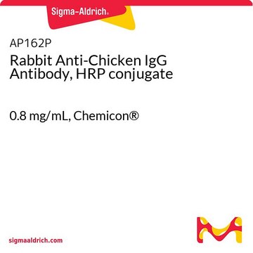 兔抗鸡IgG抗体，HRP偶联 0.8&#160;mg/mL, Chemicon&#174;