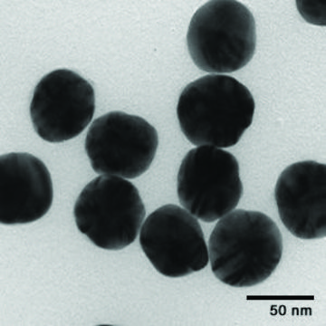 银纳米溶液 50&#160;nm avg. part. size, 0.02&#160;mg/mL (in 2mM aqueous sodium citrate), citrate functionalized