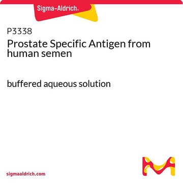 Prostate Specific Antigen from human semen buffered aqueous solution