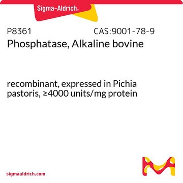 Phosphatase, Alkaline bovine recombinant, expressed in Pichia pastoris, &#8805;4000&#160;units/mg protein