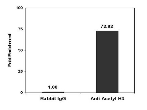 Magna ChIP&#174; 蛋白A磁珠 Recombinant Protein A covalently bound to magnetic beads for use in chromatin immunoprecipitations (ChIP assays). These protein A beads provide users a more rapid, reproducible &amp; efficient reagent for collecting immunocomplexes vs. agarose beads.