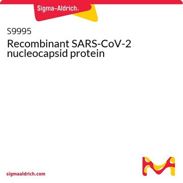 Recombinant SARS-CoV-2 nucleocapsid protein