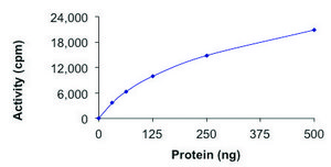 STK21 (CIT), Active recombinant