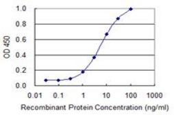 Monoclonal Anti-BGLAP antibody produced in mouse clone 2D5, purified immunoglobulin, buffered aqueous solution