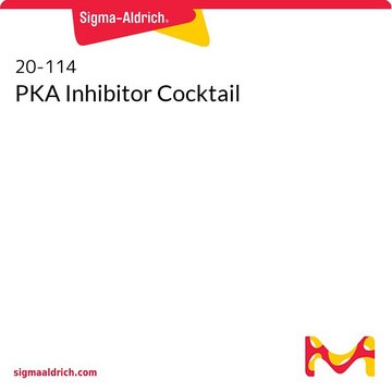 PKA Inhibitor Cocktail