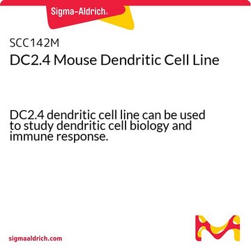 DC2.4小鼠树突细胞系 DC2.4 dendritic cell line can be used to study dendritic cell biology and immune response.