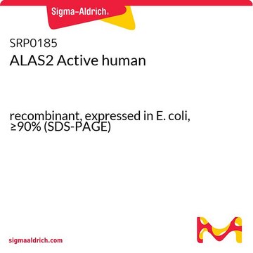 ALAS2 Active human recombinant, expressed in E. coli, &#8805;90% (SDS-PAGE)