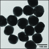 Silver nanospheres 100 nm avg. part. size, 1 mg/mL (aqueous sodium citrate), citrate functionalized