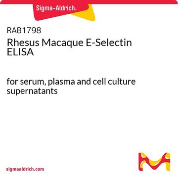 恒河猴E选择素ELISA for serum, plasma and cell culture supernatants