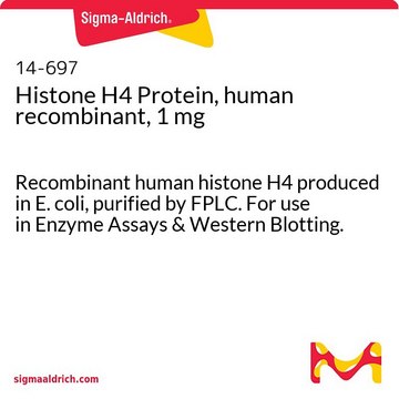 Histone H4 Protein, human recombinant, 1 mg Recombinant human histone H4 produced in E. coli, purified by FPLC. For use in Enzyme Assays &amp; Western Blotting.