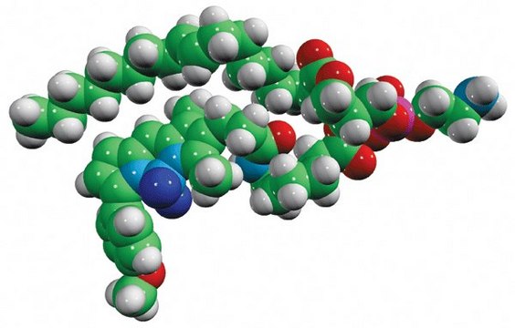 TopFluor&#174; TMR PE Avanti Polar Lipids 810241C