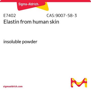 Elastin from human skin insoluble powder