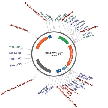 PSF-CMV-HYGRO - CMV DRIVEN HYGROMYCIN RESISTANT VECTOR plasmid vector for molecular cloning