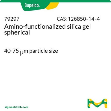 氨基改性硅胶 40-75&#160;&#956;m particle size