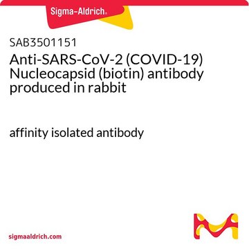 Anti-SARS-CoV-2 (COVID-19) Nucleocapsid (biotin) antibody produced in rabbit affinity isolated antibody