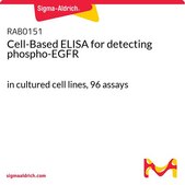 检测磷酸化EGFR的基于细胞的ELISA试剂盒 in cultured cell lines, 96 assays