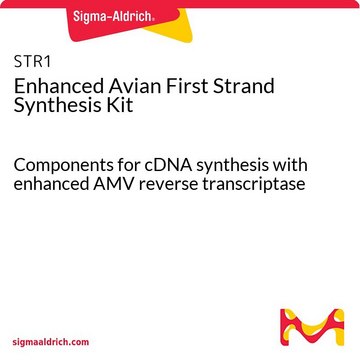 增强型禽类第一链合成试剂盒 Components for cDNA synthesis with enhanced AMV reverse transcriptase