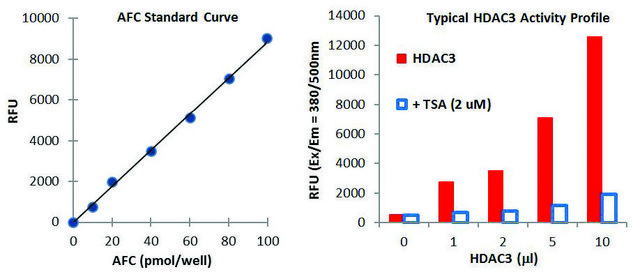 Histone Deacetylase 3 (HDAC3) Activity Assay Kit 100 assays in 96 well plates