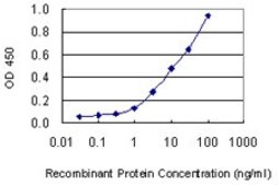 Monoclonal Anti-KRT1 antibody produced in mouse clone 2A7, purified immunoglobulin, buffered aqueous solution