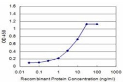 Monoclonal Anti-CSRP1 antibody produced in mouse clone 2A11, purified immunoglobulin, buffered aqueous solution