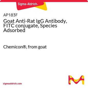 山羊抗大鼠IgG抗体（FITC偶联物，吸附物种） Chemicon&#174;, from goat