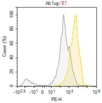 Anti-IFNGR1/CD119 Antibody, clone 2E2