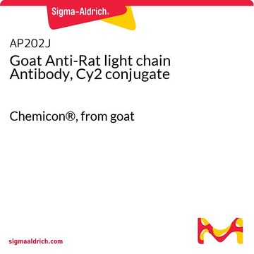 Goat Anti-Rat light chain Antibody, Cy2 conjugate Chemicon&#174;, from goat