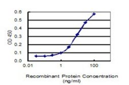 ANTI-TRIM25 antibody produced in mouse clone 5F12, purified immunoglobulin, buffered aqueous solution
