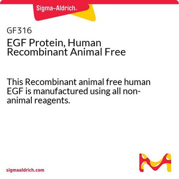 不含人重组动物的EGF蛋白 This Recombinant animal free human EGF is manufactured using all non-animal reagents.