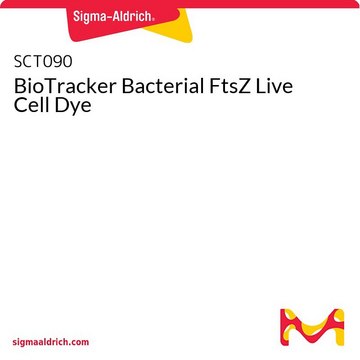 BioTracker Bacterial FtsZ Live Cell Dye