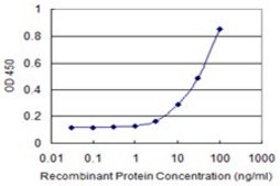 Monoclonal Anti-TAF1C, (C-terminal) antibody produced in mouse clone 3E6, purified immunoglobulin, buffered aqueous solution