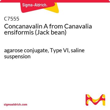 Concanavalin A from Canavalia ensiformis (Jack bean) agarose conjugate, Type VI, saline suspension