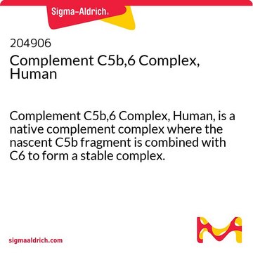 Complement C5b,6 Complex, Human Complement C5b,6 Complex, Human, is a native complement complex where the nascent C5b fragment is combined with C6 to form a stable complex.