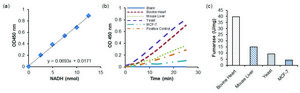 Fumarase Activity Colorimetric Assay Kit Sufficient for 100 Colorimetric tests